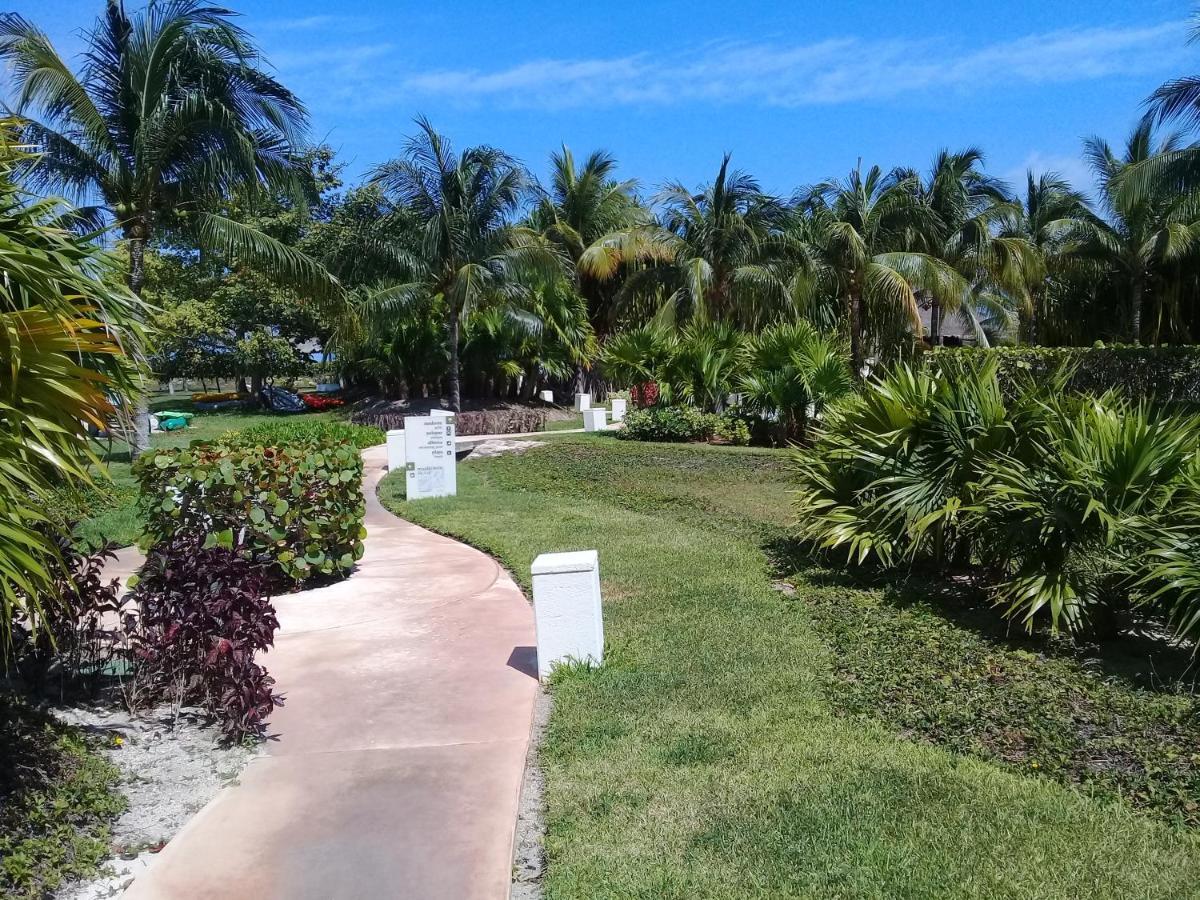 Swim The Caribbean & Work With A View Lejlighed Cancún Eksteriør billede
