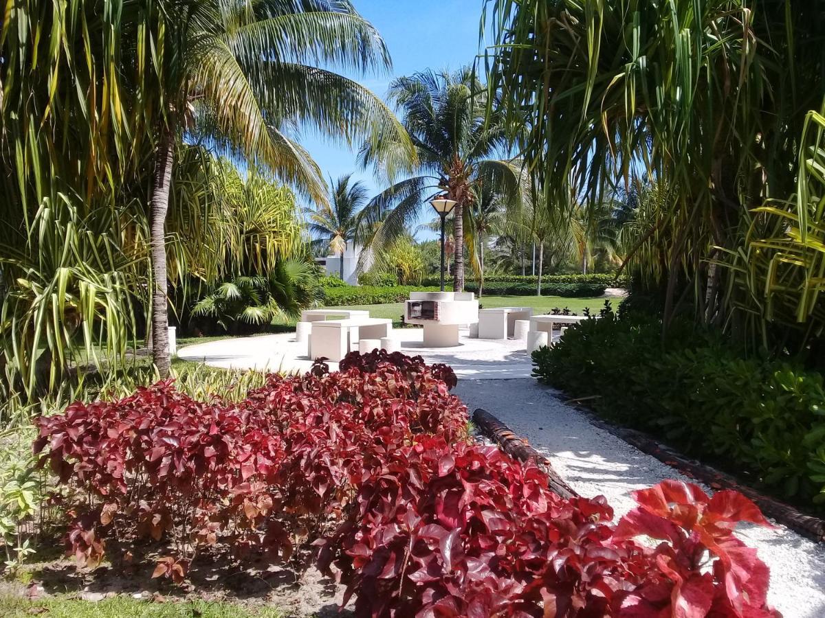 Swim The Caribbean & Work With A View Lejlighed Cancún Eksteriør billede