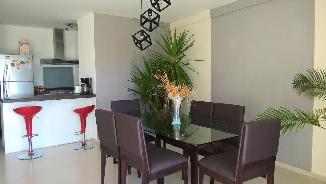 Swim The Caribbean & Work With A View Lejlighed Cancún Eksteriør billede