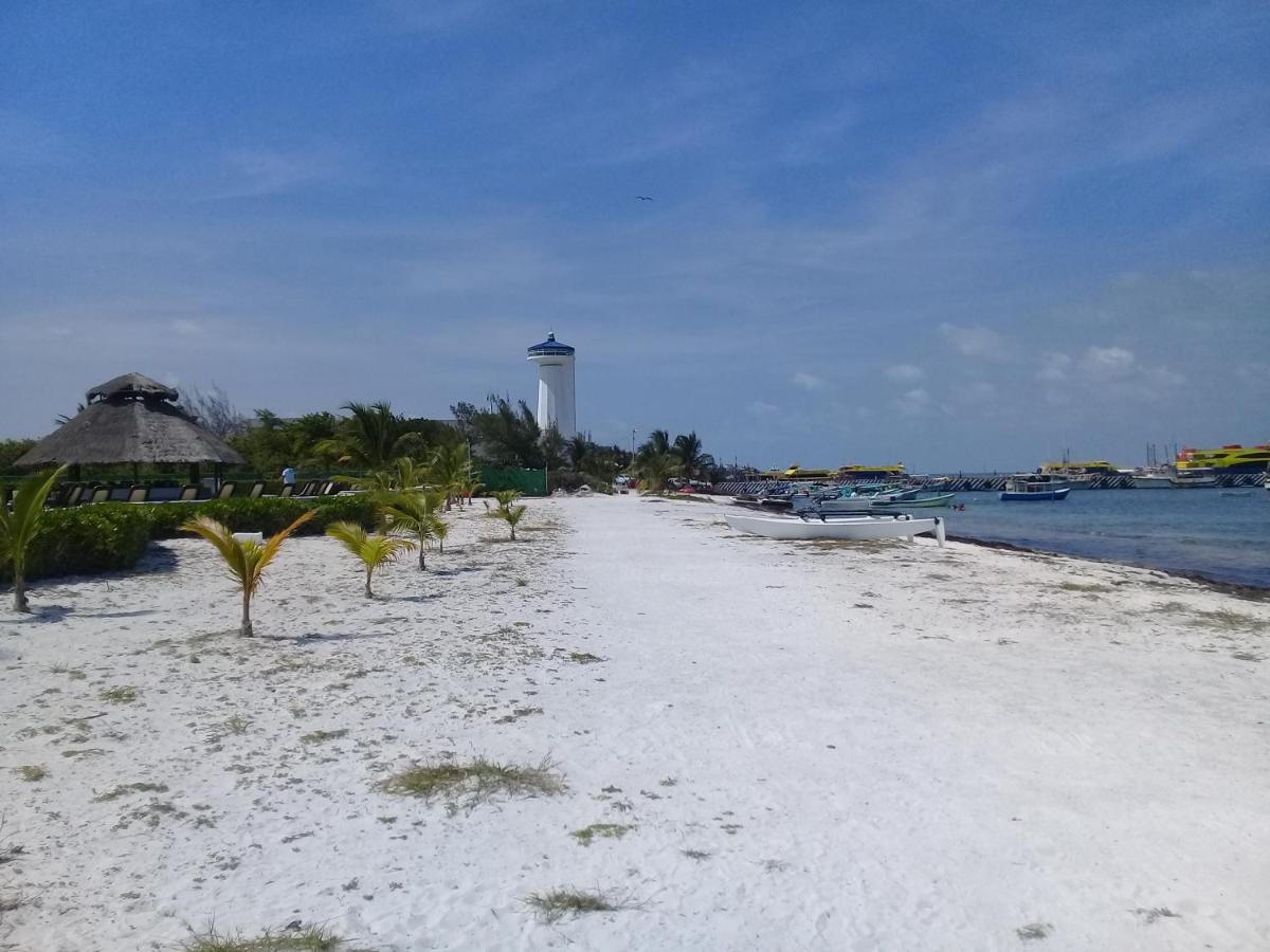 Swim The Caribbean & Work With A View Lejlighed Cancún Eksteriør billede