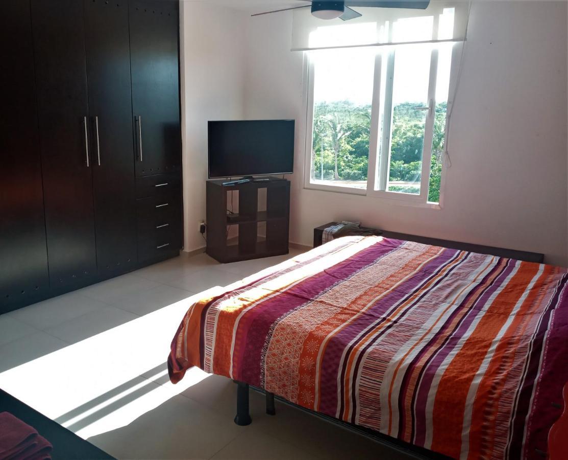 Swim The Caribbean & Work With A View Lejlighed Cancún Eksteriør billede