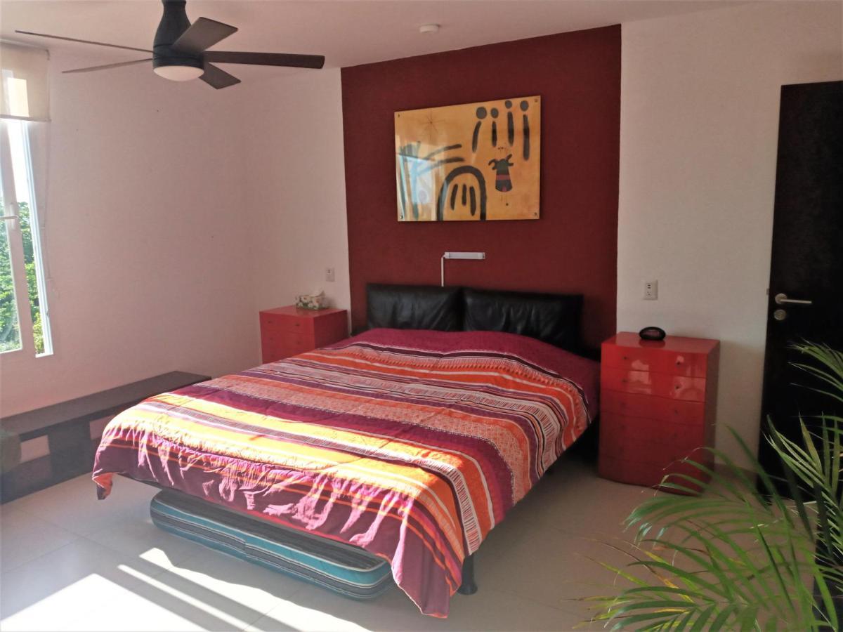 Swim The Caribbean & Work With A View Lejlighed Cancún Eksteriør billede