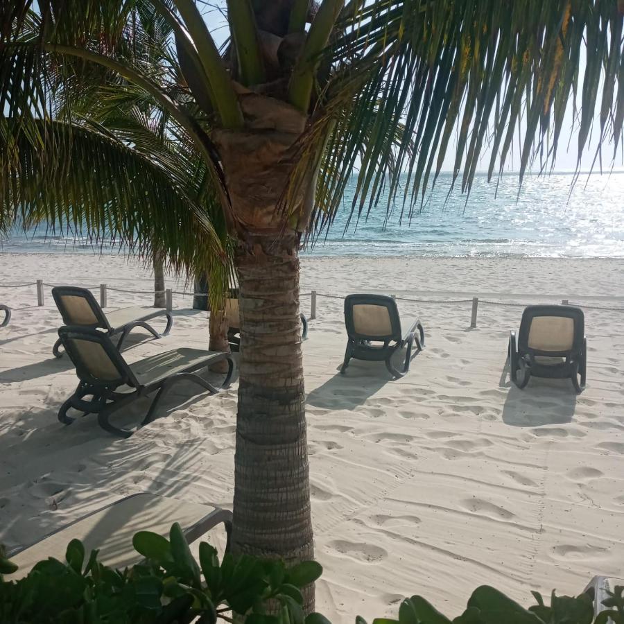Swim The Caribbean & Work With A View Lejlighed Cancún Eksteriør billede